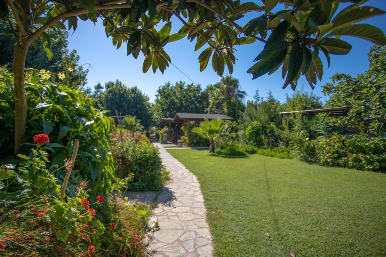 Ugur Pansiyon Bungalows Çıralı المظهر الخارجي الصورة