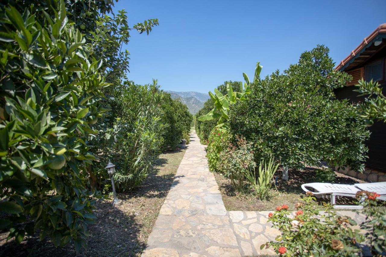 Ugur Pansiyon Bungalows Çıralı المظهر الخارجي الصورة