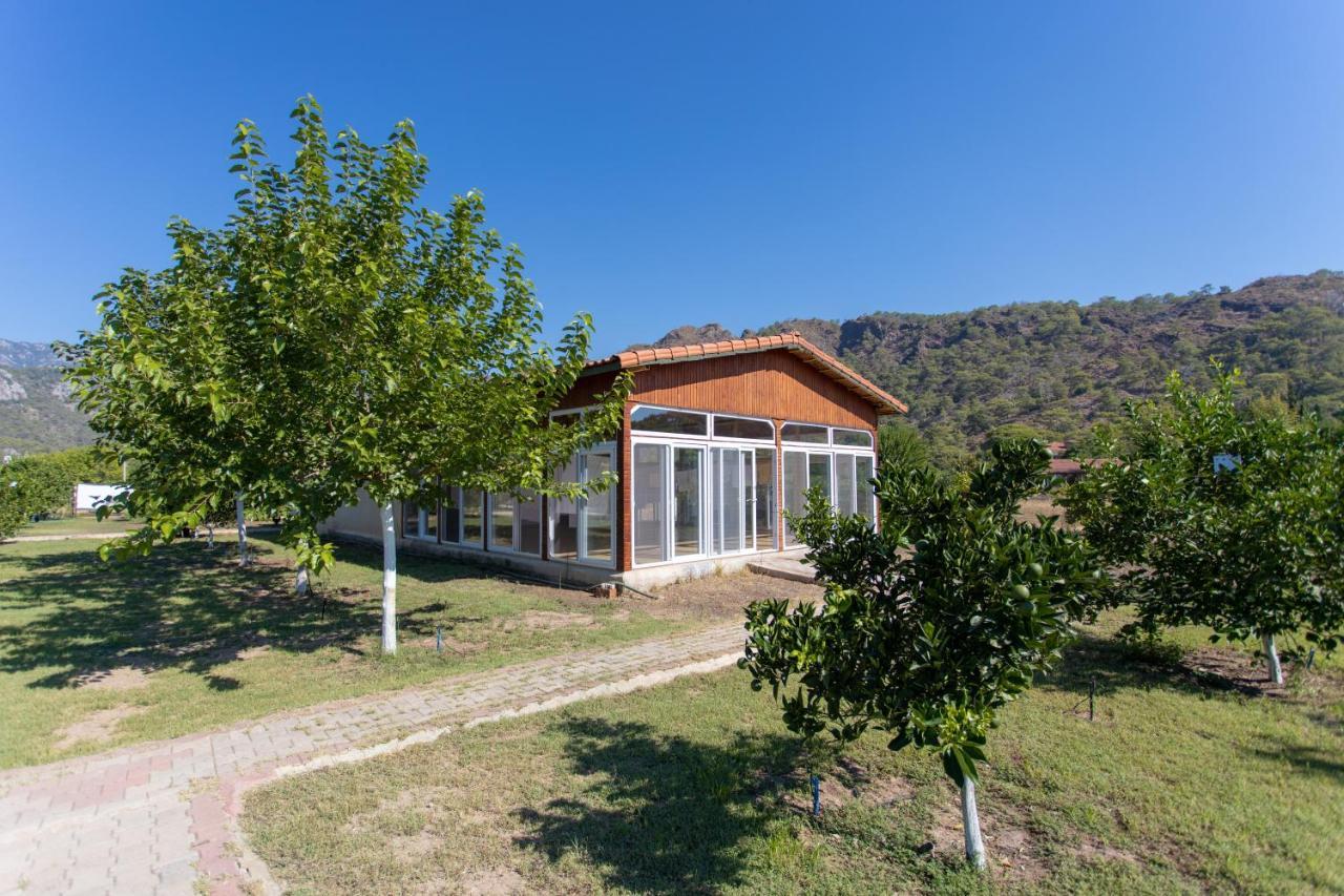 Ugur Pansiyon Bungalows Çıralı المظهر الخارجي الصورة