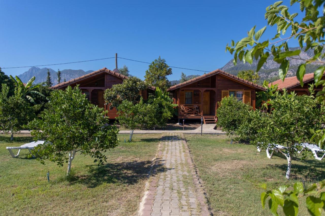 Ugur Pansiyon Bungalows Çıralı المظهر الخارجي الصورة