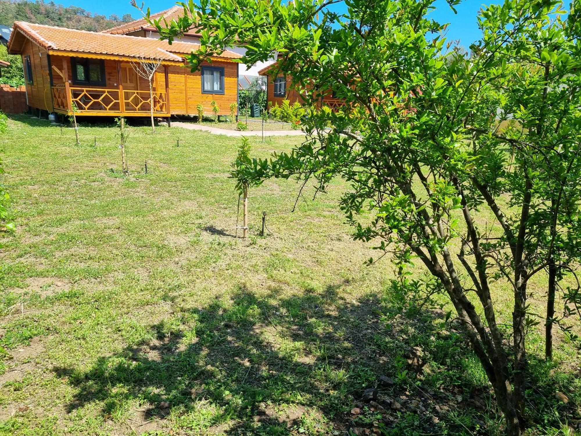 Ugur Pansiyon Bungalows Çıralı المظهر الخارجي الصورة